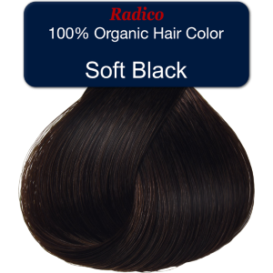 Radico Colour Me Organic Herbal Powder Hair Colour 100g Soft Black