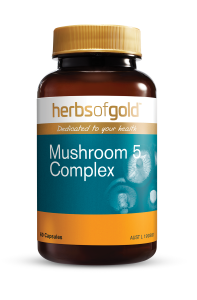 Herbs of Gold Mushroom 5 Complex 60 Capsules
